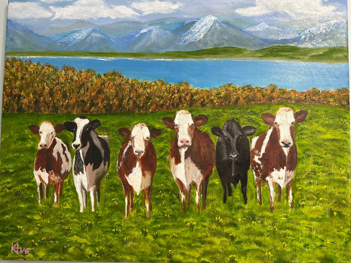 "Curious Cows" 25x32in oil on handmade 1-1/2in thick canvas