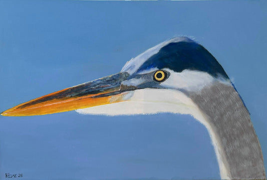 "Eye of the Heron" 24x36in oil on 1-1/2 inch thick Gallery wrapped canvas.