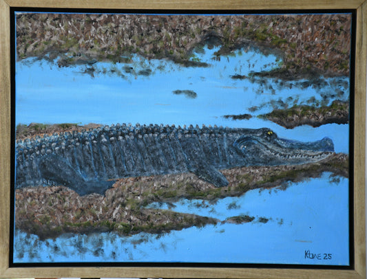 "Black Bayou Gator"  18x24 oil on canvas with Handmade Floating frame