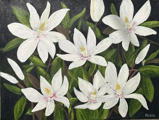 not for sale "Flowering Magnolias"  30x40x1-1/2in oil on hand built canvas
